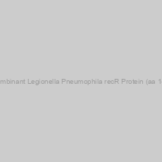 Image of Recombinant Legionella Pneumophila recR Protein (aa 1-197)